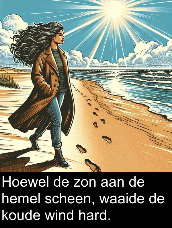 scheen: Hoewel de zon aan de hemel scheen, waaide de koude wind hard.