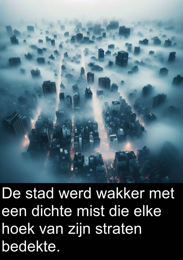 werd: De stad werd wakker met een dichte mist die elke hoek van zijn straten bedekte.