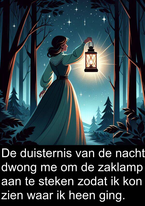 heen: De duisternis van de nacht dwong me om de zaklamp aan te steken zodat ik kon zien waar ik heen ging.