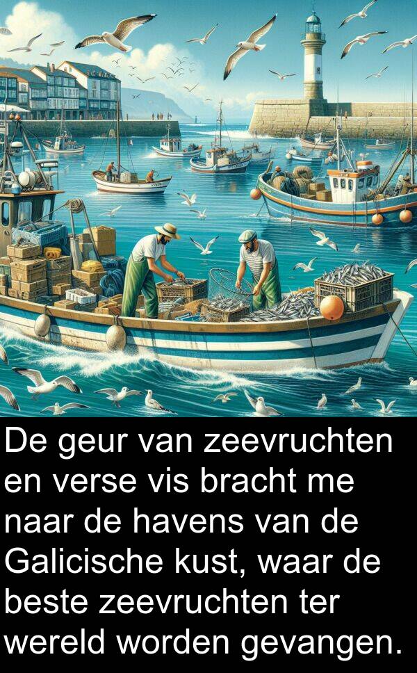 waar: De geur van zeevruchten en verse vis bracht me naar de havens van de Galicische kust, waar de beste zeevruchten ter wereld worden gevangen.