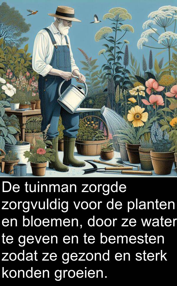 zorgvuldig: De tuinman zorgde zorgvuldig voor de planten en bloemen, door ze water te geven en te bemesten zodat ze gezond en sterk konden groeien.