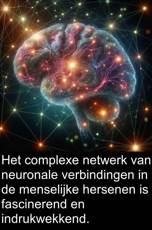 complexe: Het complexe netwerk van neuronale verbindingen in de menselijke hersenen is fascinerend en indrukwekkend.