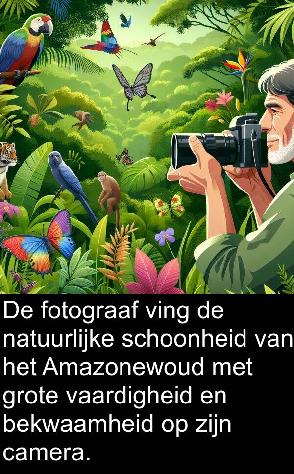 vaardigheid: De fotograaf ving de natuurlijke schoonheid van het Amazonewoud met grote vaardigheid en bekwaamheid op zijn camera.