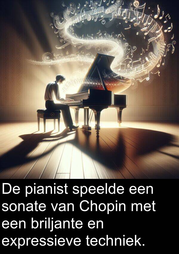 pianist: De pianist speelde een sonate van Chopin met een briljante en expressieve techniek.