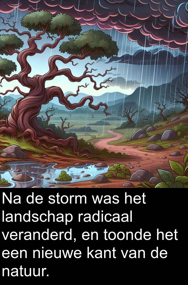 kant: Na de storm was het landschap radicaal veranderd, en toonde het een nieuwe kant van de natuur.