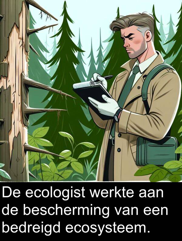 ecosysteem: De ecologist werkte aan de bescherming van een bedreigd ecosysteem.