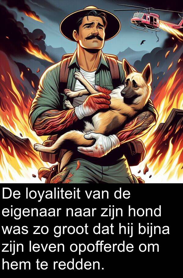 eigenaar: De loyaliteit van de eigenaar naar zijn hond was zo groot dat hij bijna zijn leven opofferde om hem te redden.