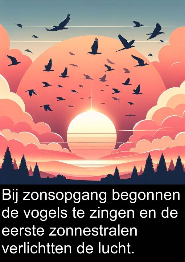 zonnestralen: Bij zonsopgang begonnen de vogels te zingen en de eerste zonnestralen verlichtten de lucht.