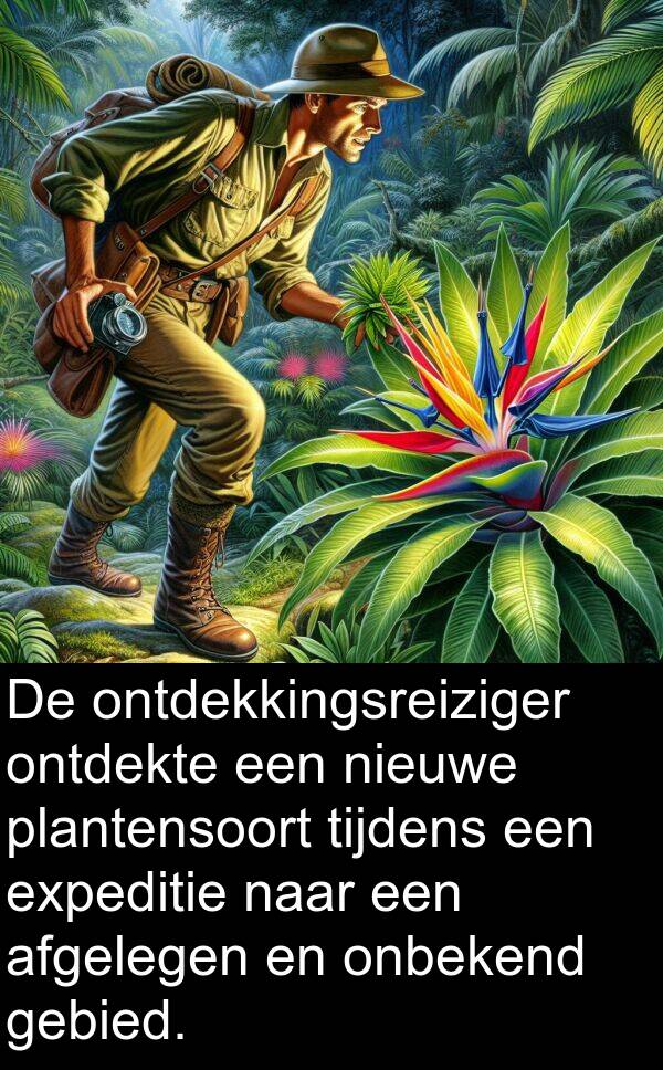 gebied: De ontdekkingsreiziger ontdekte een nieuwe plantensoort tijdens een expeditie naar een afgelegen en onbekend gebied.