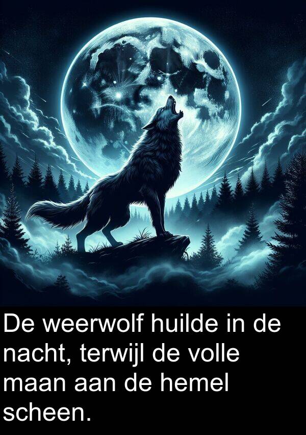 scheen: De weerwolf huilde in de nacht, terwijl de volle maan aan de hemel scheen.