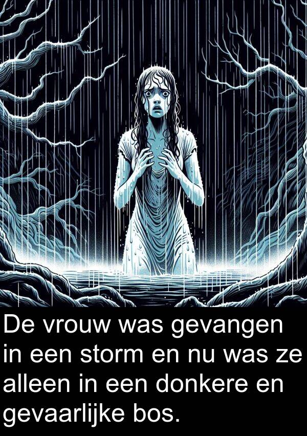 vrouw: De vrouw was gevangen in een storm en nu was ze alleen in een donkere en gevaarlijke bos.