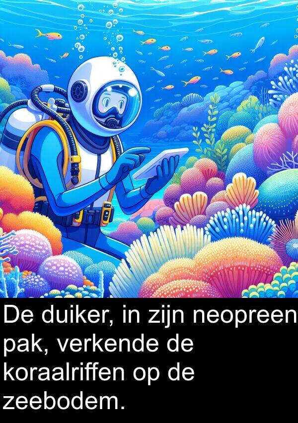 zeebodem: De duiker, in zijn neopreen pak, verkende de koraalriffen op de zeebodem.