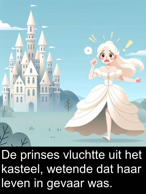 prinses: De prinses vluchtte uit het kasteel, wetende dat haar leven in gevaar was.