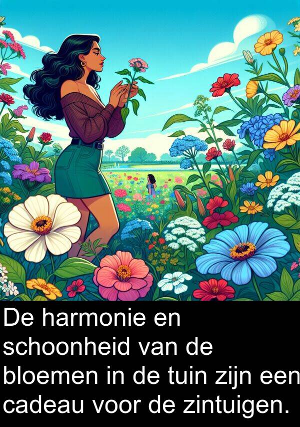 cadeau: De harmonie en schoonheid van de bloemen in de tuin zijn een cadeau voor de zintuigen.