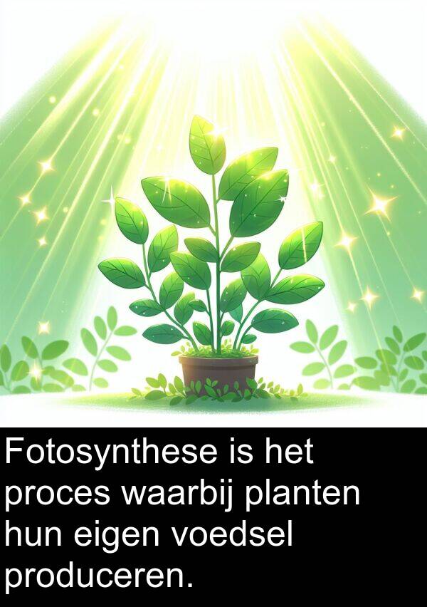 waarbij: Fotosynthese is het proces waarbij planten hun eigen voedsel produceren.