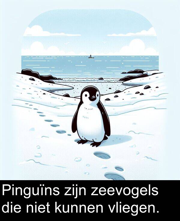 niet: Pinguïns zijn zeevogels die niet kunnen vliegen.