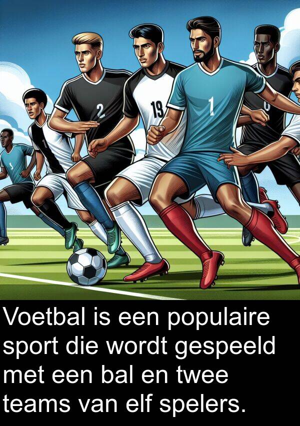 teams: Voetbal is een populaire sport die wordt gespeeld met een bal en twee teams van elf spelers.