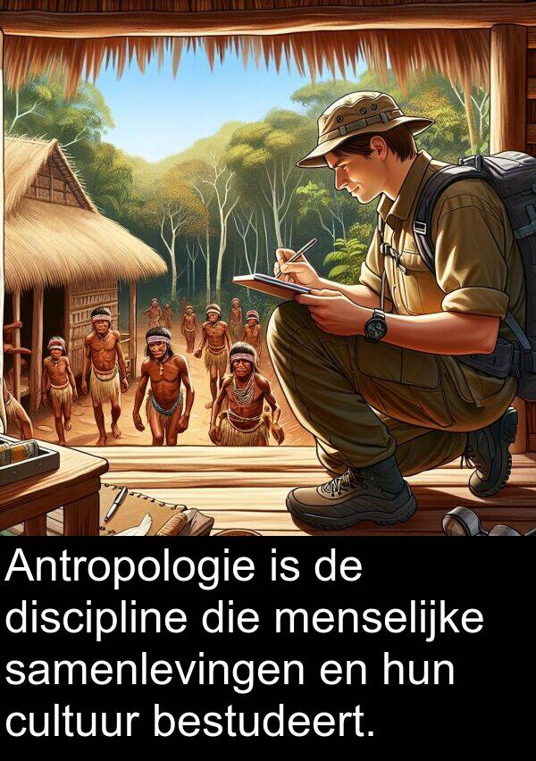 samenlevingen: Antropologie is de discipline die menselijke samenlevingen en hun cultuur bestudeert.