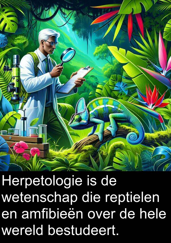 wereld: Herpetologie is de wetenschap die reptielen en amfibieën over de hele wereld bestudeert.