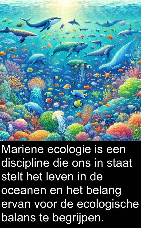 ecologie: Mariene ecologie is een discipline die ons in staat stelt het leven in de oceanen en het belang ervan voor de ecologische balans te begrijpen.