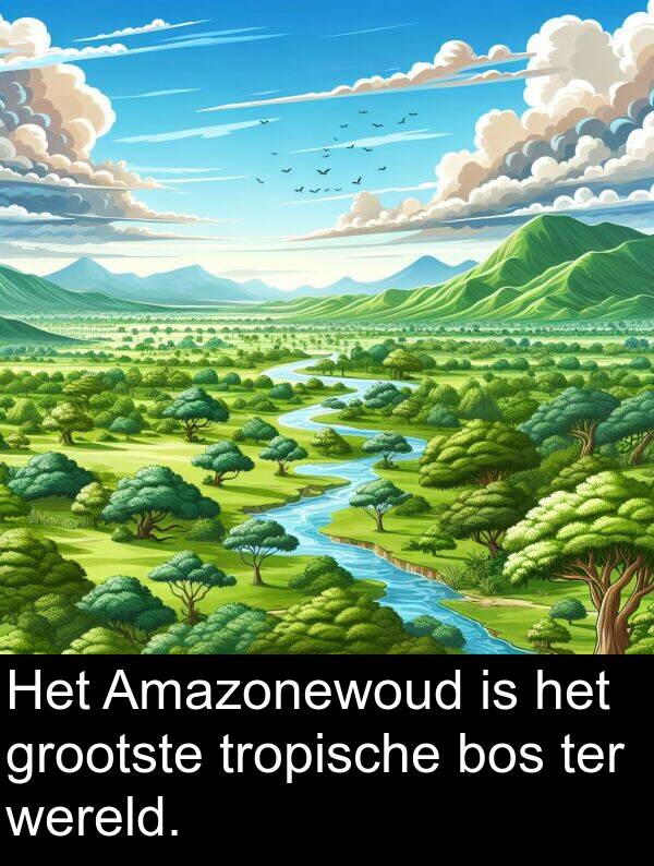 wereld: Het Amazonewoud is het grootste tropische bos ter wereld.