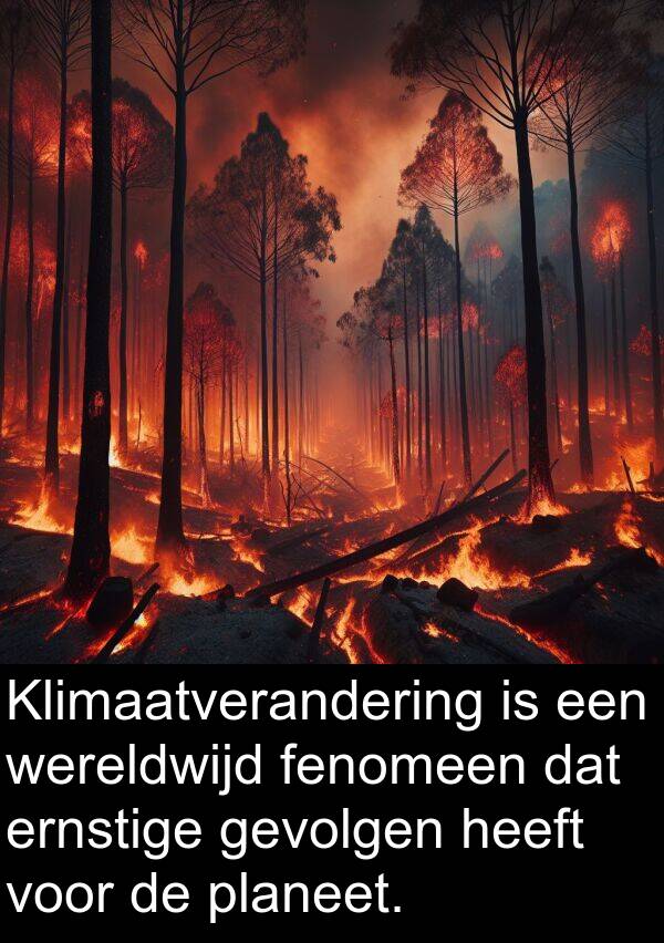 ernstige: Klimaatverandering is een wereldwijd fenomeen dat ernstige gevolgen heeft voor de planeet.