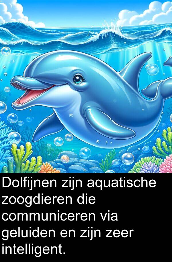 zoogdieren: Dolfijnen zijn aquatische zoogdieren die communiceren via geluiden en zijn zeer intelligent.