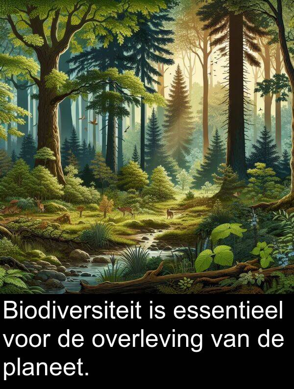 planeet: Biodiversiteit is essentieel voor de overleving van de planeet.