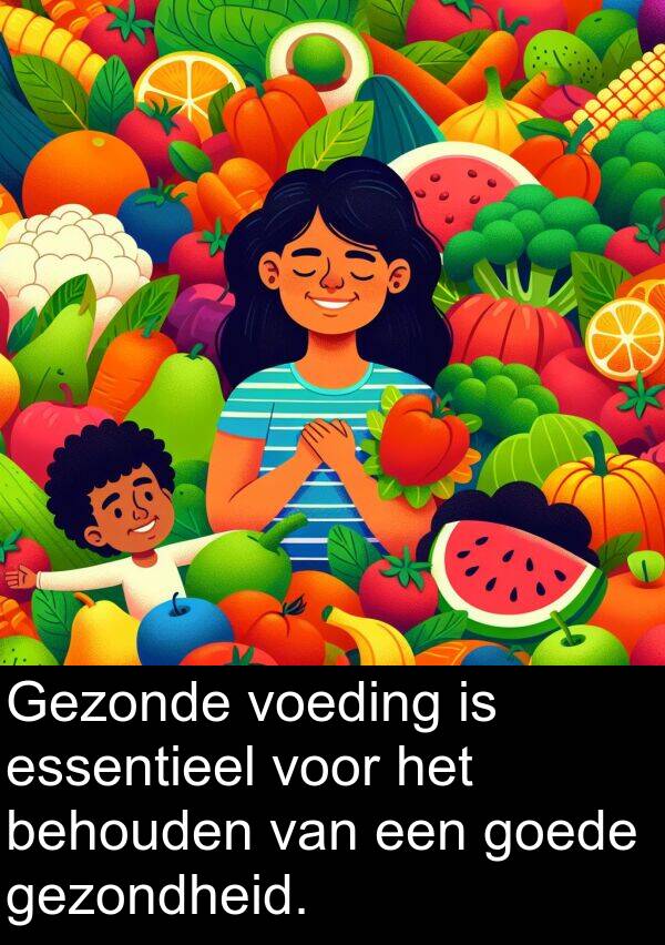 behouden: Gezonde voeding is essentieel voor het behouden van een goede gezondheid.