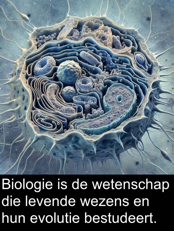 levende: Biologie is de wetenschap die levende wezens en hun evolutie bestudeert.