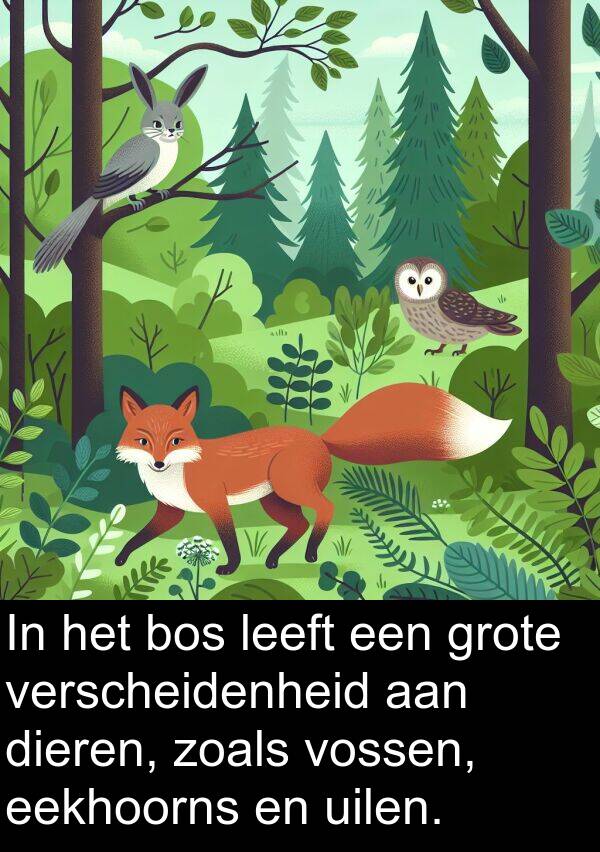 dieren: In het bos leeft een grote verscheidenheid aan dieren, zoals vossen, eekhoorns en uilen.