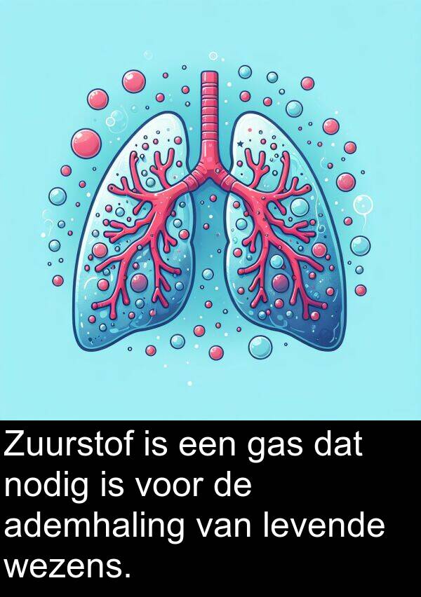 gas: Zuurstof is een gas dat nodig is voor de ademhaling van levende wezens.