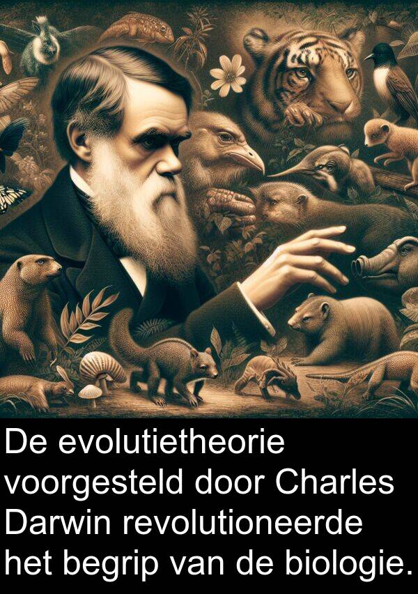 begrip: De evolutietheorie voorgesteld door Charles Darwin revolutioneerde het begrip van de biologie.