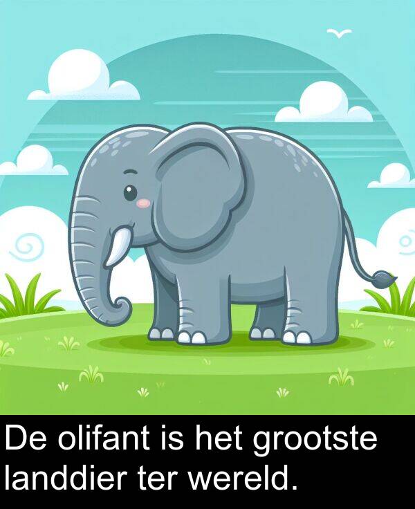 olifant: De olifant is het grootste landdier ter wereld.