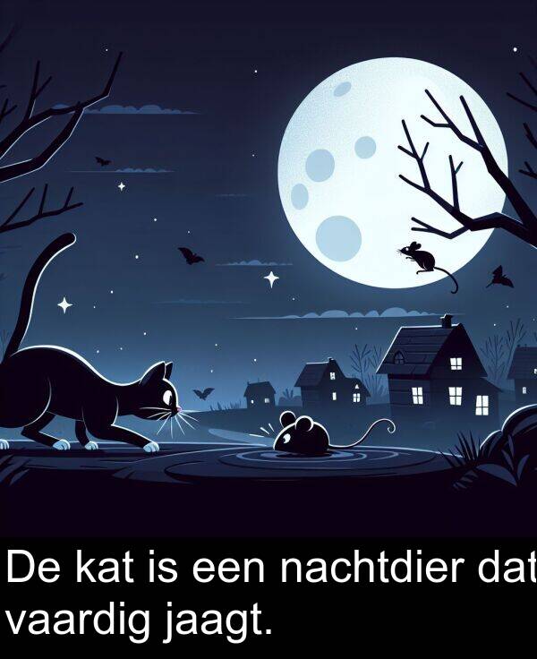 een: De kat is een nachtdier dat vaardig jaagt.