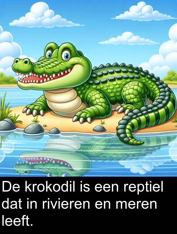 leeft: De krokodil is een reptiel dat in rivieren en meren leeft.