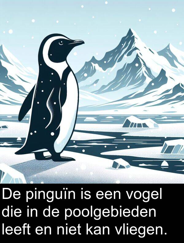 poolgebieden: De pinguïn is een vogel die in de poolgebieden leeft en niet kan vliegen.