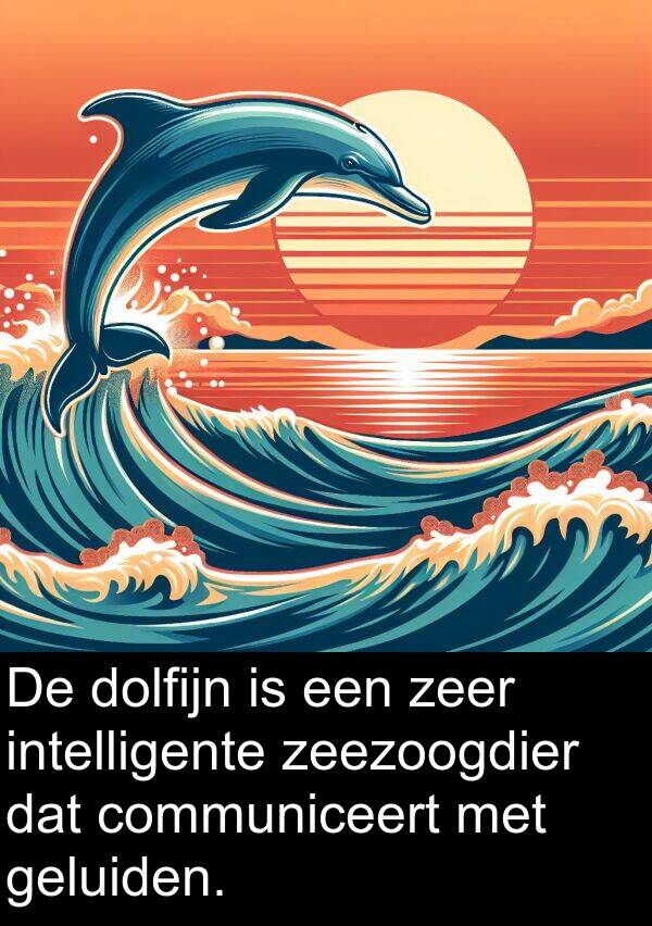 dolfijn: De dolfijn is een zeer intelligente zeezoogdier dat communiceert met geluiden.