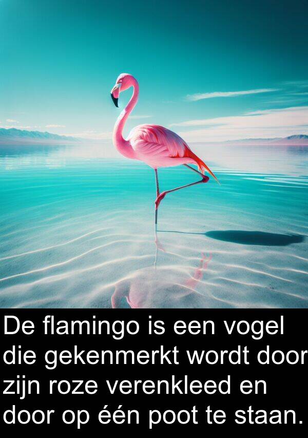 gekenmerkt: De flamingo is een vogel die gekenmerkt wordt door zijn roze verenkleed en door op één poot te staan.