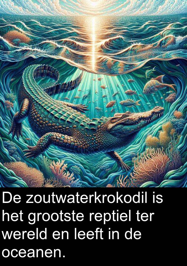 oceanen: De zoutwaterkrokodil is het grootste reptiel ter wereld en leeft in de oceanen.