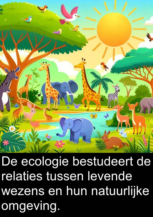 relaties: De ecologie bestudeert de relaties tussen levende wezens en hun natuurlijke omgeving.