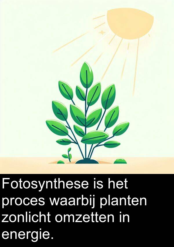 waarbij: Fotosynthese is het proces waarbij planten zonlicht omzetten in energie.