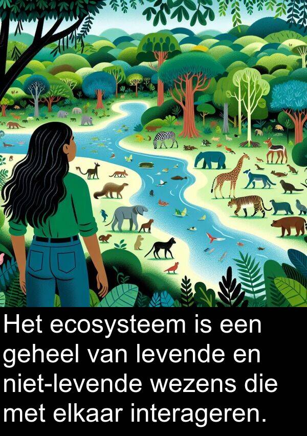 elkaar: Het ecosysteem is een geheel van levende en niet-levende wezens die met elkaar interageren.