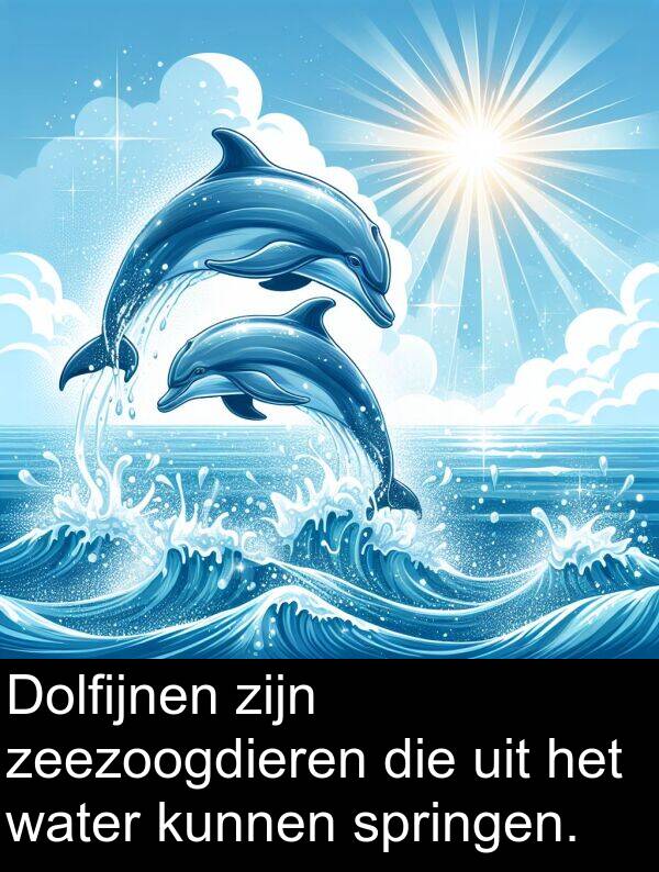 water: Dolfijnen zijn zeezoogdieren die uit het water kunnen springen.