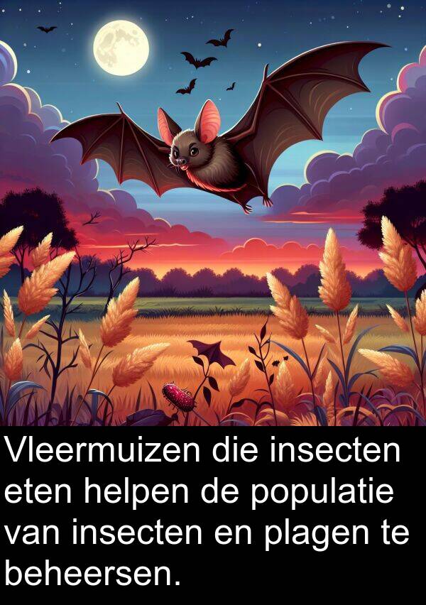 insecten: Vleermuizen die insecten eten helpen de populatie van insecten en plagen te beheersen.