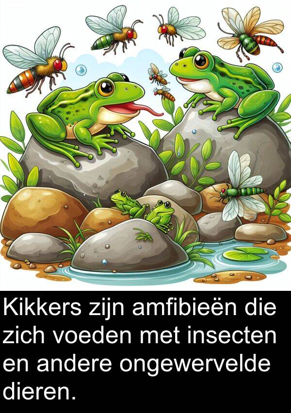 insecten: Kikkers zijn amfibieën die zich voeden met insecten en andere ongewervelde dieren.