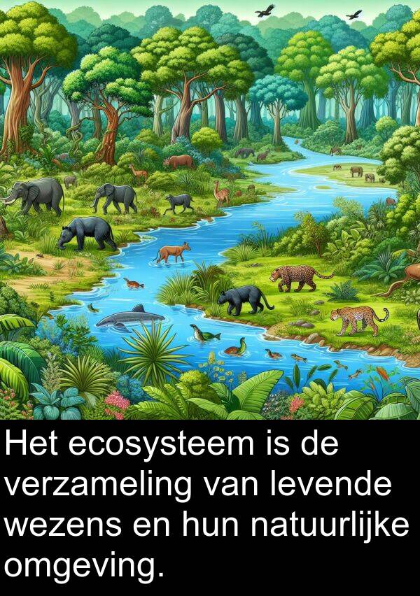 natuurlijke: Het ecosysteem is de verzameling van levende wezens en hun natuurlijke omgeving.