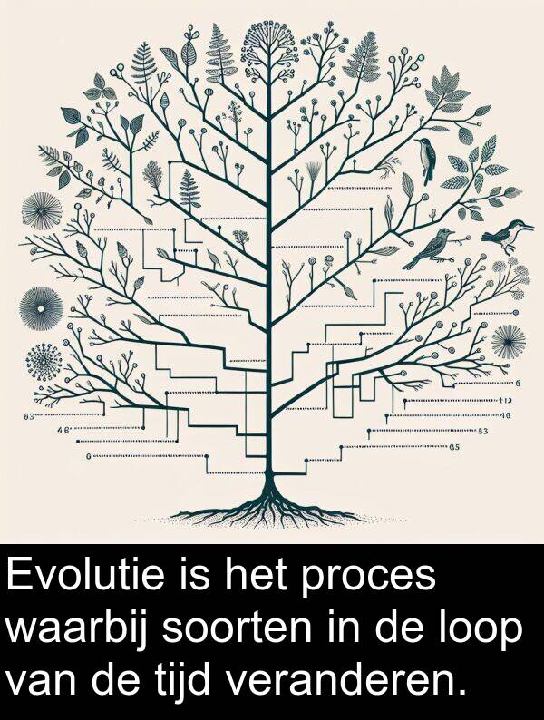 waarbij: Evolutie is het proces waarbij soorten in de loop van de tijd veranderen.