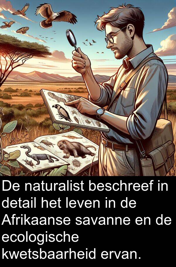 savanne: De naturalist beschreef in detail het leven in de Afrikaanse savanne en de ecologische kwetsbaarheid ervan.