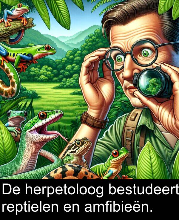 reptielen: De herpetoloog bestudeert reptielen en amfibieën.